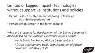 Forever Pioneers. 50 Years Contributing to a Sustainable Food Future … And Counting