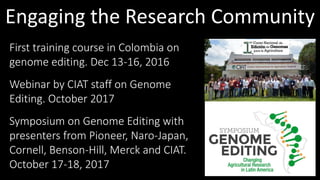 Genome Editing: A Disruptive Technology for Accelerating Breeding 