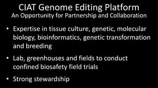 Genome Editing: A Disruptive Technology for Accelerating Breeding 