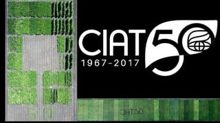 Genome Editing: A Disruptive Technology for Accelerating Breeding 