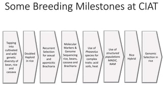 Genome Editing: A Disruptive Technology for Accelerating Breeding 
