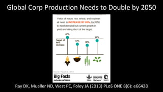 Genome Editing: A Disruptive Technology for Accelerating Breeding 