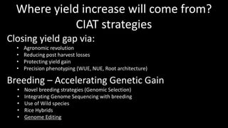 Genome Editing: A Disruptive Technology for Accelerating Breeding 