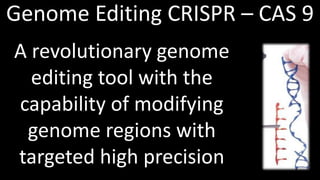 Genome Editing: A Disruptive Technology for Accelerating Breeding 