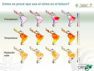 Seguridad alimentaria, agricultura y cambio climático: retos presentes y futuros
