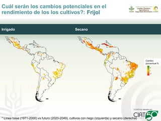 Seguridad alimentaria, agricultura y cambio climático: retos presentes y futuros