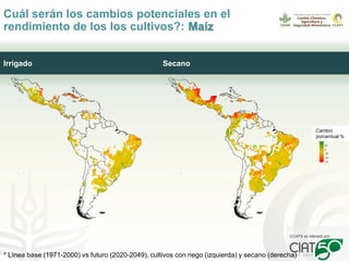 Seguridad alimentaria, agricultura y cambio climático: retos presentes y futuros