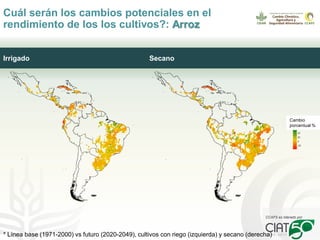Seguridad alimentaria, agricultura y cambio climático: retos presentes y futuros