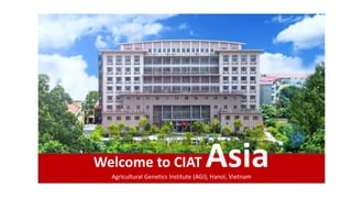 Welcome to CIAT AsiaAgricultural Genetics Institute (AGI), Hanoi, Vietnam
 