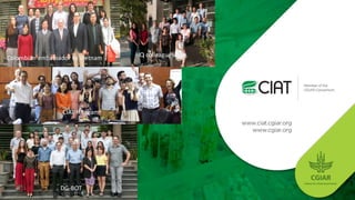 Growing Asia Implementing the regional strategic framework