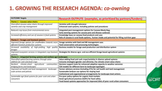 Growing Asia Implementing the regional strategic framework
