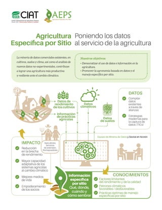 Factores limitantes
del rendimiento y de la calidad
Prácticas óptimas de manejo
específicas por sitio
Patrones climáticos
...