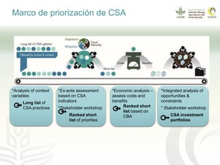 Impacto del cambio climático en las cadenas productivas del café