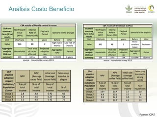Impacto del cambio climático en las cadenas productivas del café