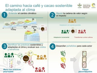 Impacto del cambio climático en las cadenas productivas del café