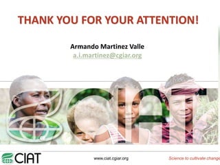 Impacto del cambio climático en las cadenas productivas del café