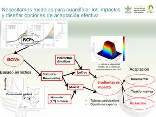 Impacto del cambio climático en las cadenas productivas del café