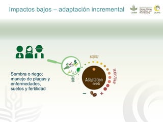 Impacto del cambio climático en las cadenas productivas del café