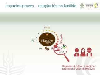 Impacto del cambio climático en las cadenas productivas del café