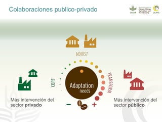 Impacto del cambio climático en las cadenas productivas del café
