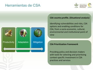 Impacto del cambio climático en las cadenas productivas del café