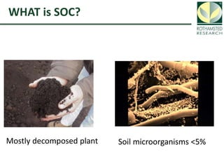 Soil Organic Carbon – devising a single proxy measure for the sustainability of pastoral systems