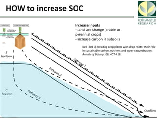 Soil Organic Carbon – devising a single proxy measure for the sustainability of pastoral systems