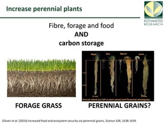 Soil Organic Carbon – devising a single proxy measure for the sustainability of pastoral systems