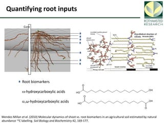 Soil Organic Carbon – devising a single proxy measure for the sustainability of pastoral systems
