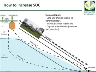 Soil Organic Carbon – devising a single proxy measure for the sustainability of pastoral systems