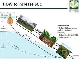 Soil Organic Carbon – devising a single proxy measure for the sustainability of pastoral systems