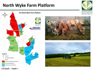Soil Organic Carbon – devising a single proxy measure for the sustainability of pastoral systems