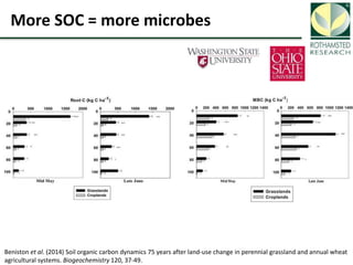 Soil Organic Carbon – devising a single proxy measure for the sustainability of pastoral systems