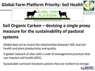 Soil Organic Carbon – devising a single proxy measure for the sustainability of pastoral systems