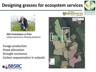 Soil Organic Carbon – devising a single proxy measure for the sustainability of pastoral systems
