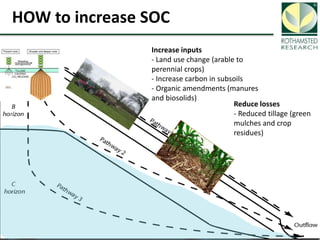 Soil Organic Carbon – devising a single proxy measure for the sustainability of pastoral systems