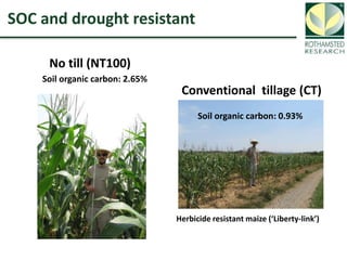 Soil Organic Carbon – devising a single proxy measure for the sustainability of pastoral systems