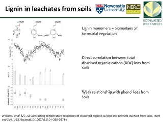 Soil Organic Carbon – devising a single proxy measure for the sustainability of pastoral systems