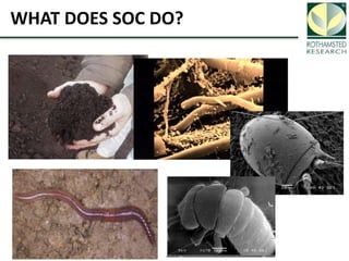 Soil Organic Carbon – devising a single proxy measure for the sustainability of pastoral systems