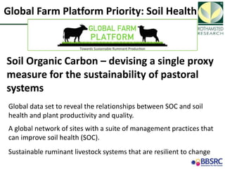 Soil Organic Carbon – devising a single proxy measure for the sustainability of pastoral systems