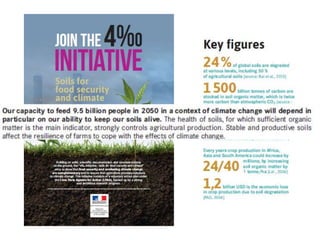 Soil Organic Carbon – devising a single proxy measure for the sustainability of pastoral systems