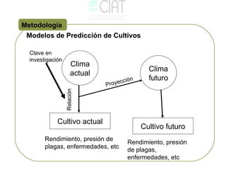 Carlos Z - Impacto del cambio climatico y medidas de adaptacion para enfrentarlo