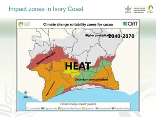 Climate smart cocoa value chains