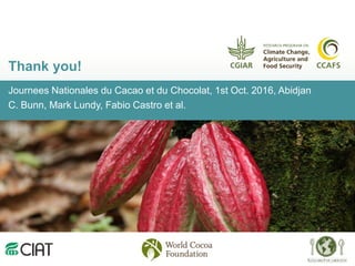 Climate smart cocoa value chains