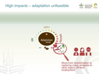 Climate smart cocoa value chains