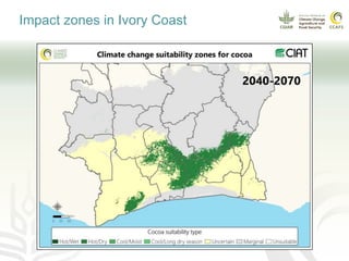 Climate smart cocoa value chains