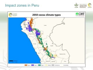Climate smart cocoa value chains