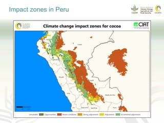 Climate smart cocoa value chains