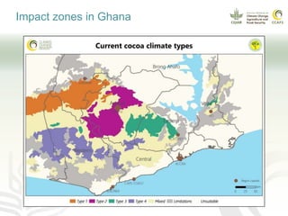 Climate smart cocoa value chains
