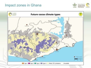 Climate smart cocoa value chains